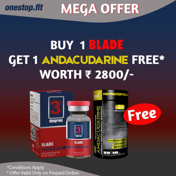 BLADE - Image 4