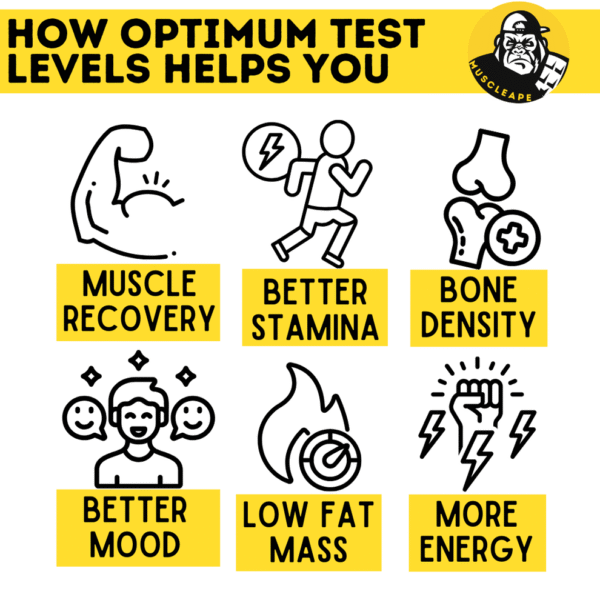 Muscleape TestMax Natural Men's Stamina Booster. - Image 3